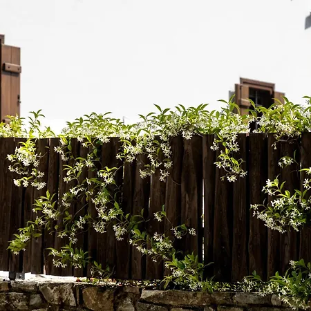 招待所 山之秘旅馆