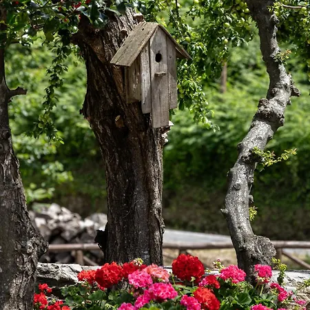 山之秘旅馆 招待所 Mourésion