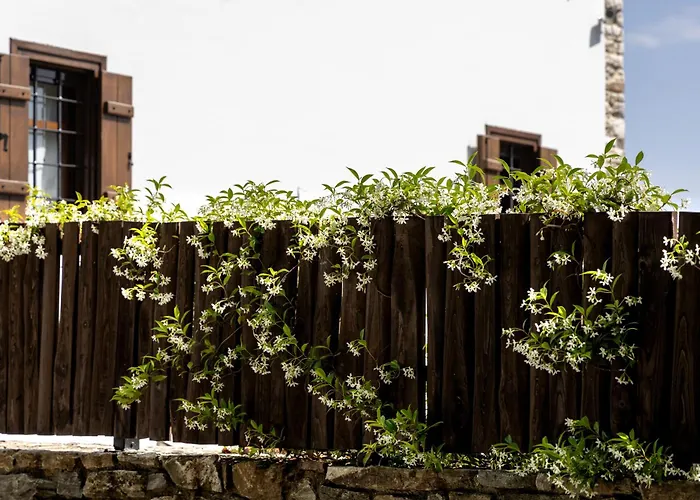 Guest house Mountain's Secret