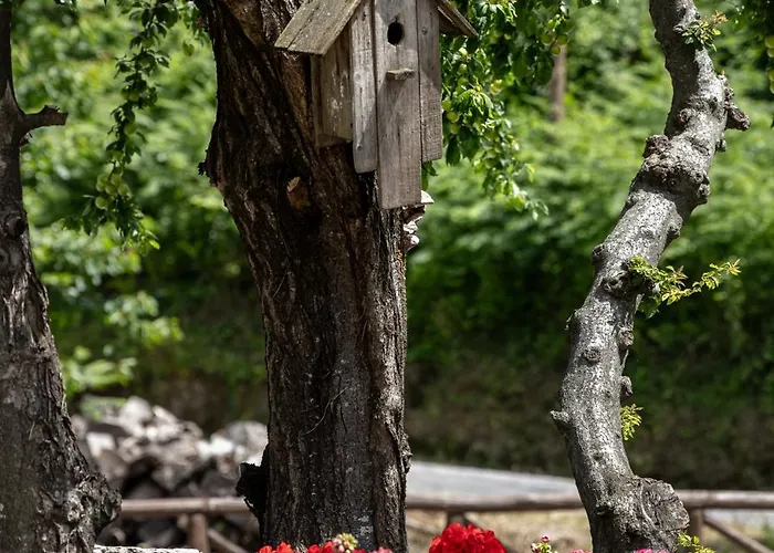 Mountain's Secret Guest house Mouresi